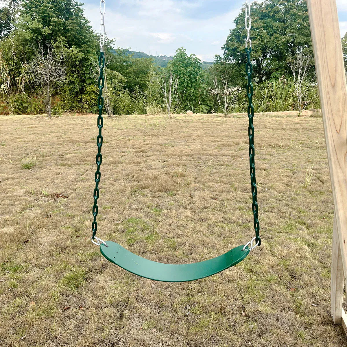 Lifespan Kids Daintree 2-in-1 Monkey Bars & Swing Set V572-LKMB-DAIN-SET