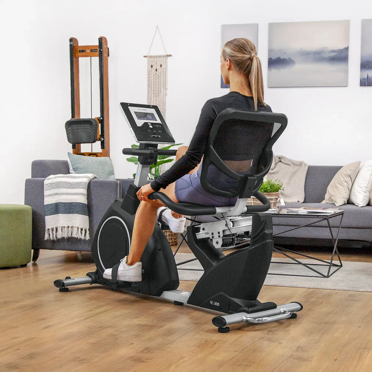 Lifespan Fitness RC-300 Recumbent Bike V572-RC300