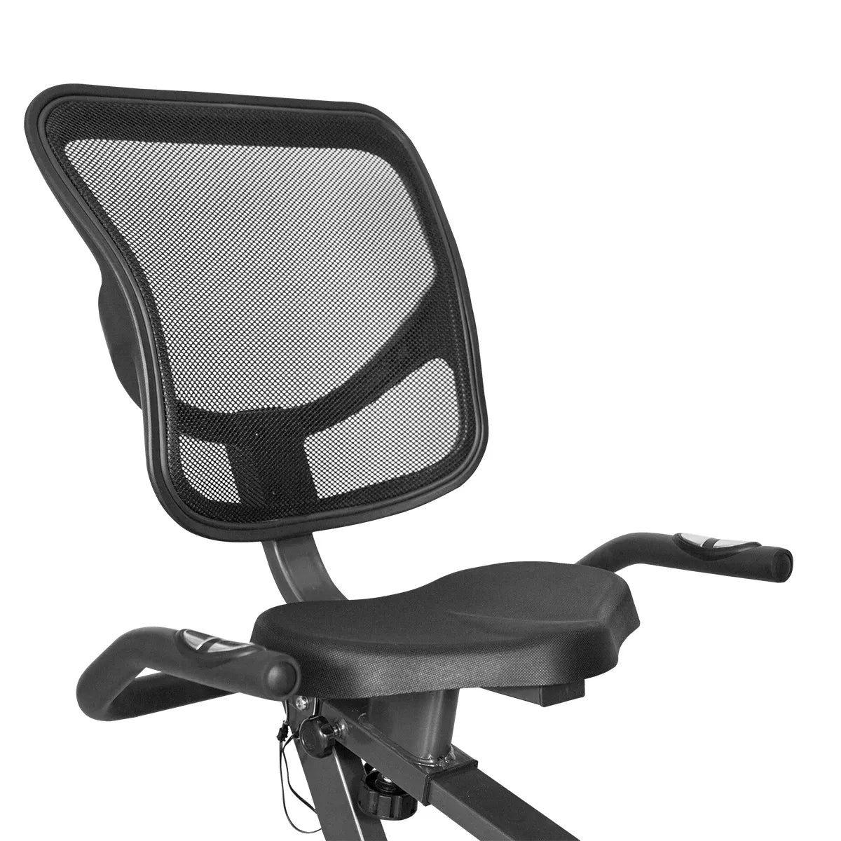 Lifespan Fitness RC-81 Recumbent Bike V572-RC81