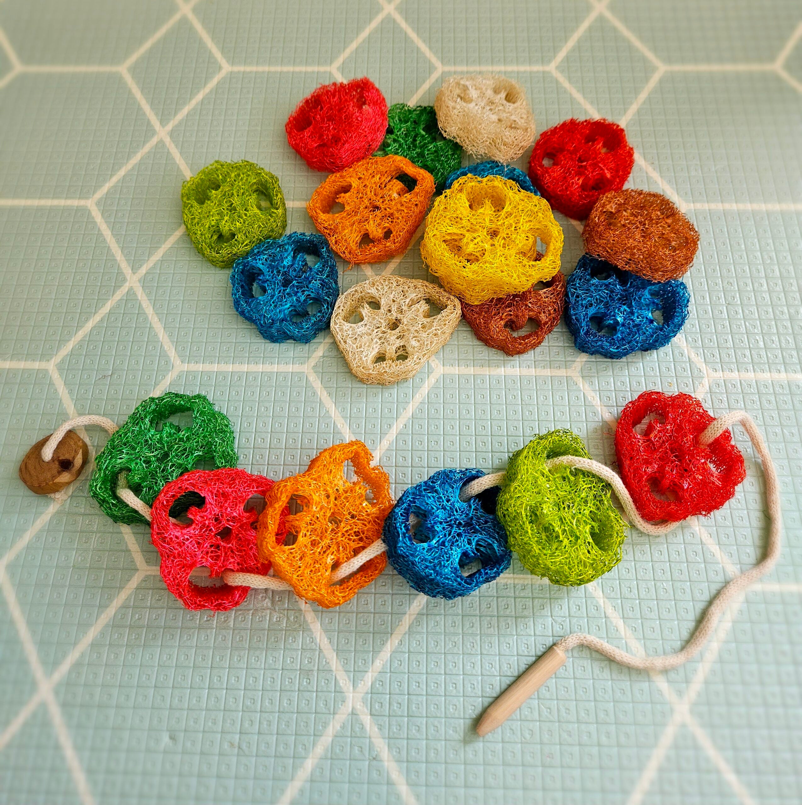 Rainbow loofah lacing toys V59-120