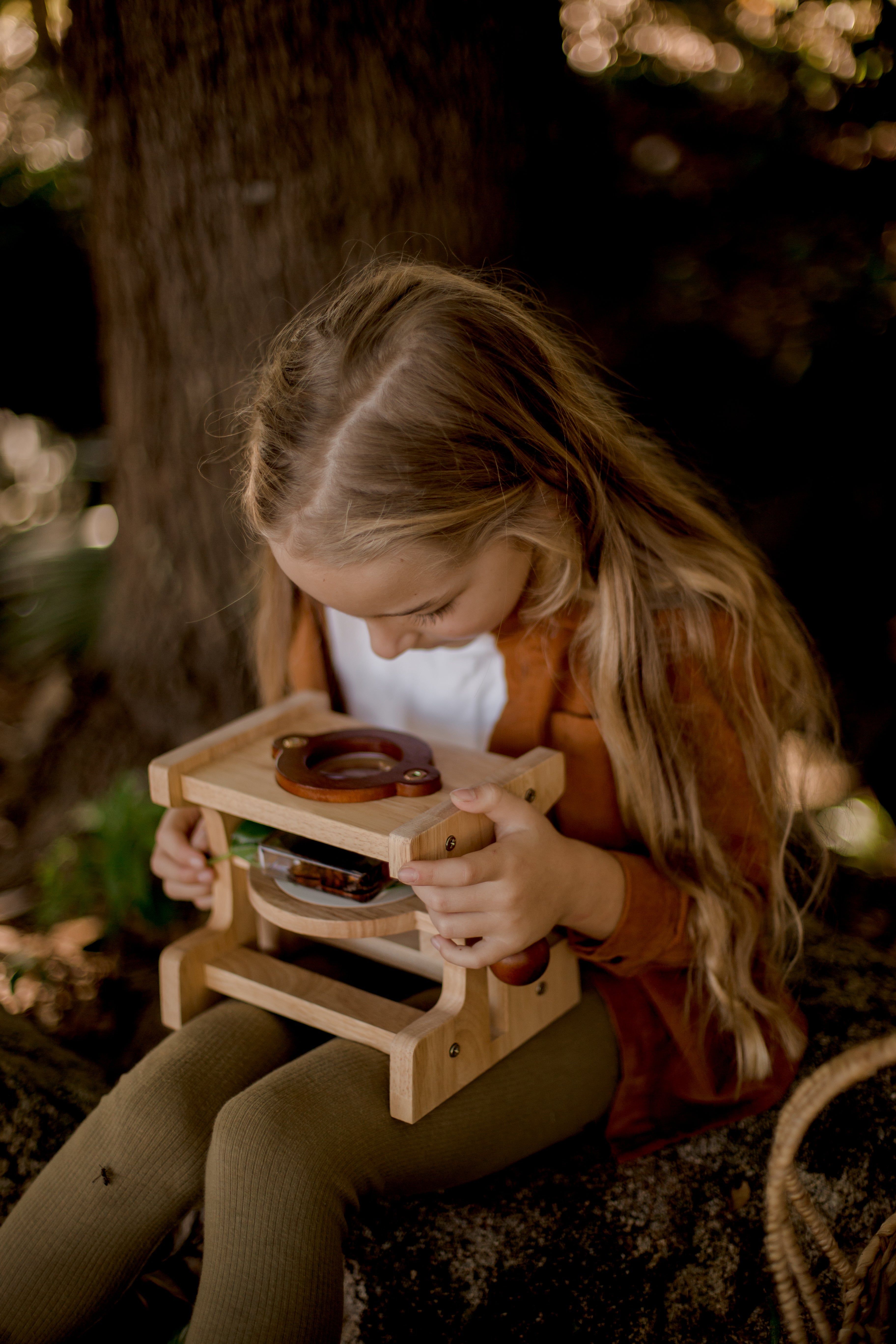 Wooden Microscope V59-272