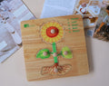 Montessori Parts of a Plant Puzzle V59-622