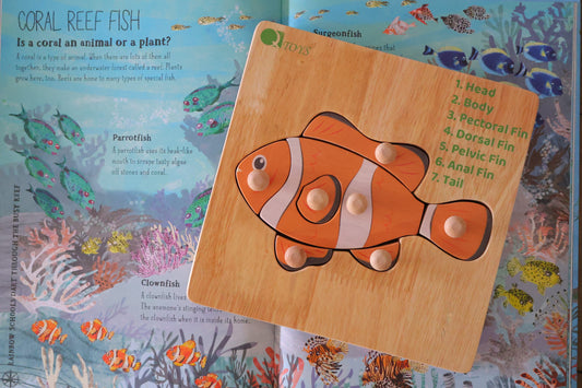 Montessori Fish Knob Puzzle V59-633