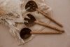 Coco salad spoon and fork Set (Set of 3) V59-732