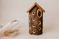 Lady Bug House V59-93