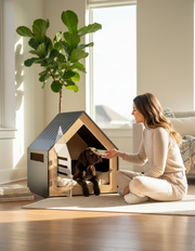 Modern Pet House Dog Crate (White)