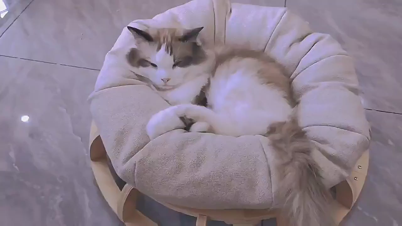 Timber Gyro Cat Nest Bed V600-PB-YKJ167