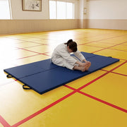 Folding Blue Exercise Mat - Gymnastics, Martial Arts, Yoga, Karate & Judo Training V63-766465