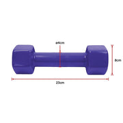 2kg Dumbbells Pair PVC Hand Weights Rubber Coated V63-782495
