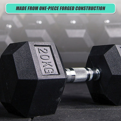 20KG Commercial Rubber Hex Dumbbell Gym Weight V63-794115