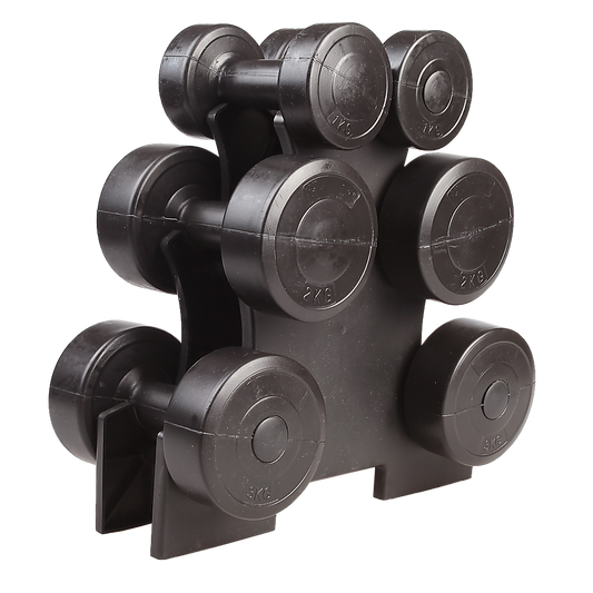 12kg Dumbbell Weights Set with Rack for Home Gym Training V63-798807
