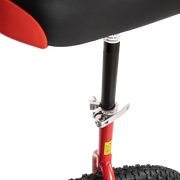 24 Inch Pro Circus Unicycle for Performance Training Indoor Show Use V63-799397