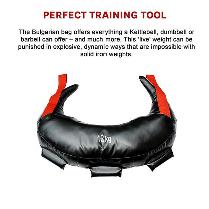 12kg Bulgarian Workout Power Bag V63-820013