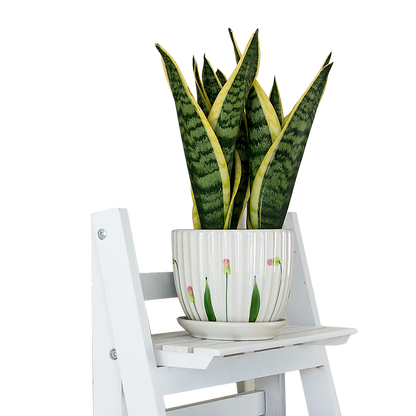 5 Tier Wooden Ladder Shelf Stand Storage Book Shelves Shelving Display Rack V63-824201