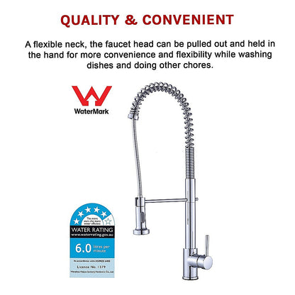 Basin Mixer Pull-Out Kitchen Tap Faucet Laundry Sink V63-826221