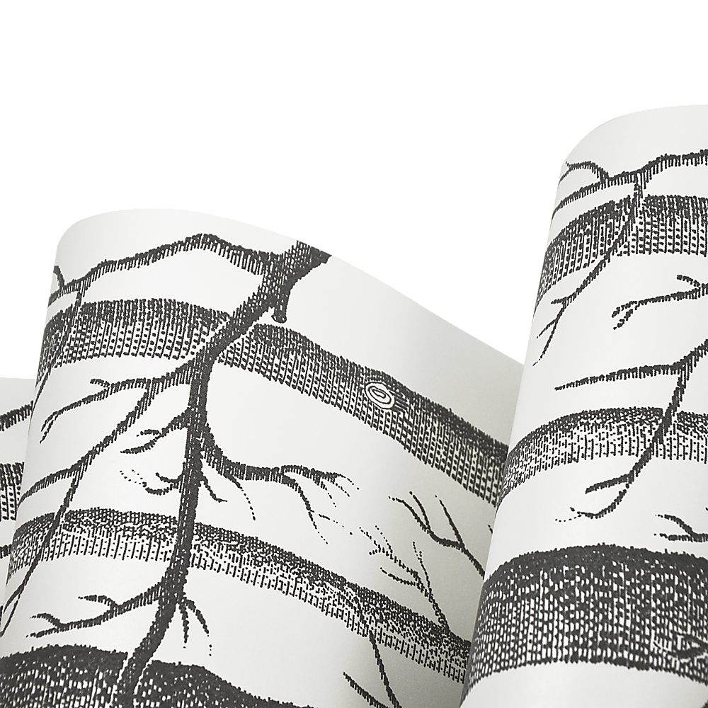 Wallpaper White Birch Tree Non-woven Wall Paper Roll V63-827571