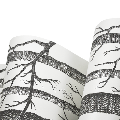 Wallpaper White Birch Tree Non-woven Wall Paper Roll V63-827571