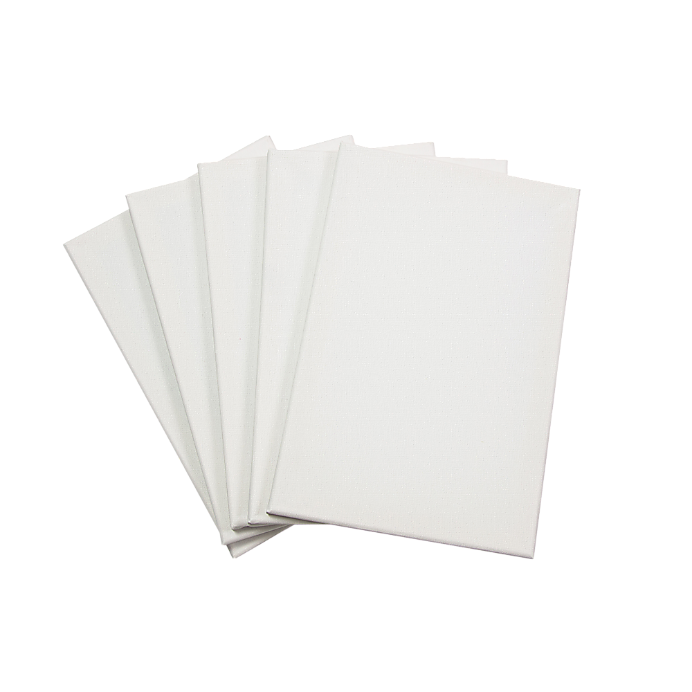5 pack of 20x30cm Artist Blank Stretched Canvas Canvases Art Large White Range Oil Acrylic Wood V63-828091