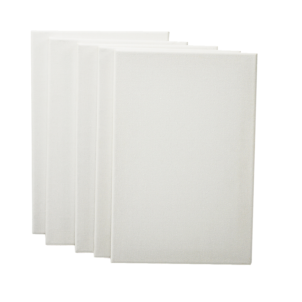 5 pack of 20x30cm Artist Blank Stretched Canvas Canvases Art Large White Range Oil Acrylic Wood V63-828091