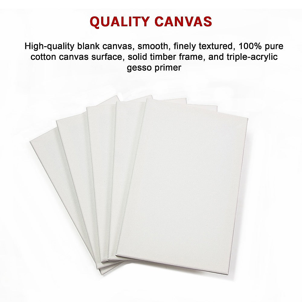 5 pack of 20x30cm Artist Blank Stretched Canvas Canvases Art Large White Range Oil Acrylic Wood V63-828091