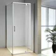 Shower Screen 1000x900x1900mm Framed Safety Glass Pivot Door By Della Francesca V63-829091