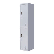 2-Door Vertical Locker for Office Gym Shed School Home Storage V63-832411