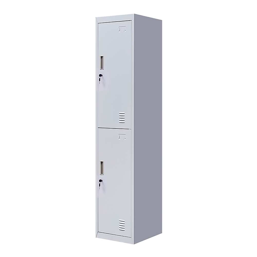 2-Door Vertical Locker for Office Gym Shed School Home Storage V63-832411