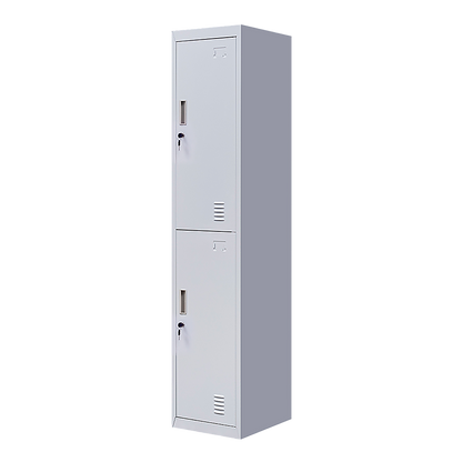 2-Door Vertical Locker for Office Gym Shed School Home Storage V63-832411