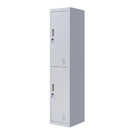2-Door Vertical Locker for Office Gym Shed School Home Storage V63-832411