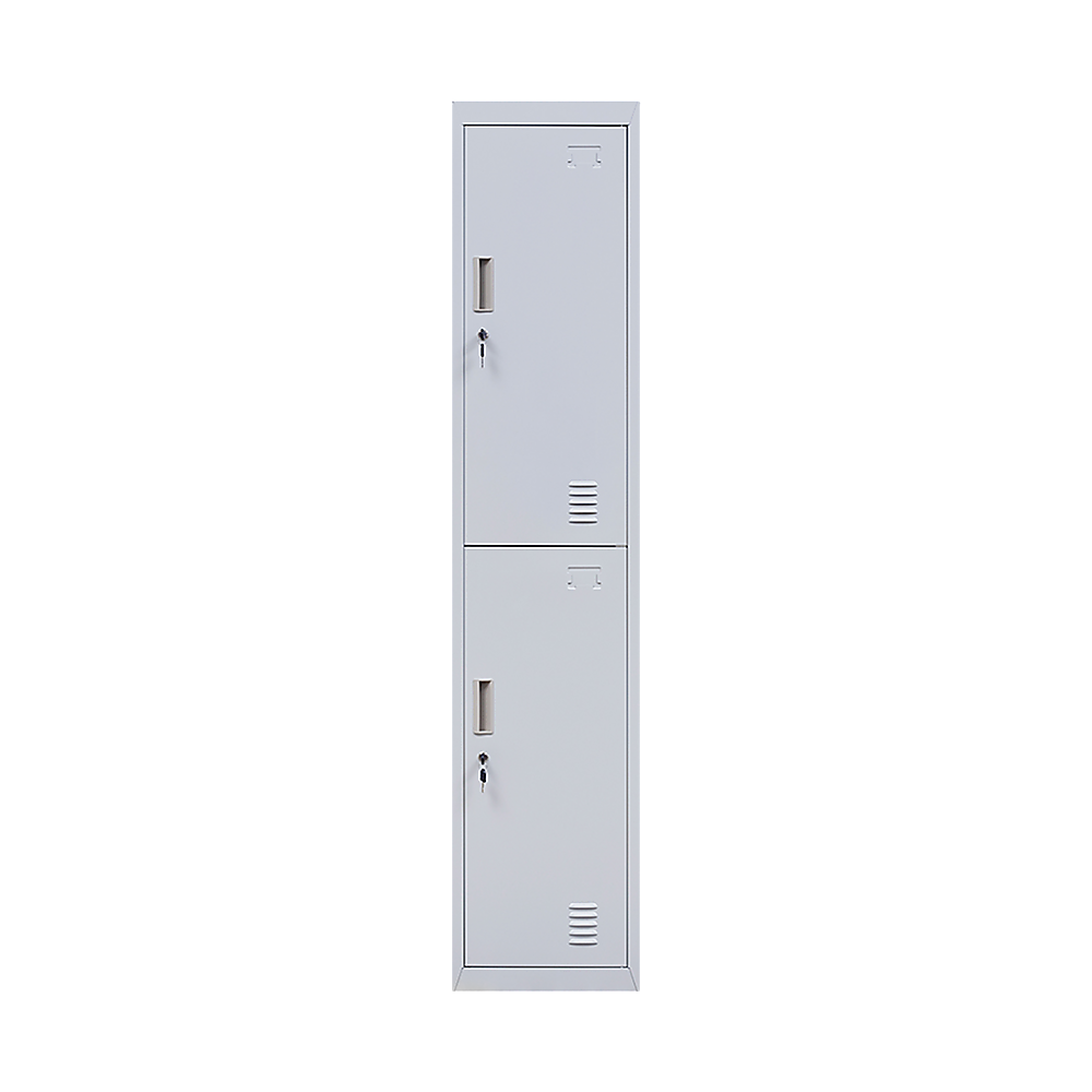 2-Door Vertical Locker for Office Gym Shed School Home Storage V63-832411