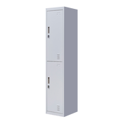 2-Door Vertical Locker for Office Gym Shed School Home Storage V63-832421