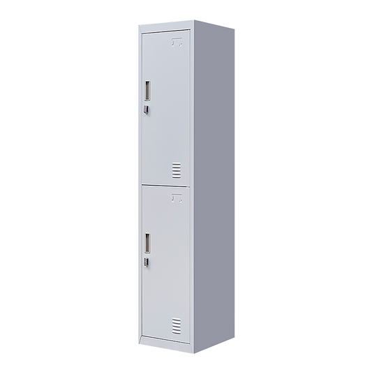 2-Door Vertical Locker for Office Gym Shed School Home Storage V63-832421