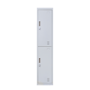 2-Door Vertical Locker for Office Gym Shed School Home Storage V63-832421