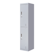 2-Door Vertical Locker for Office Gym Shed School Home Storage V63-832431