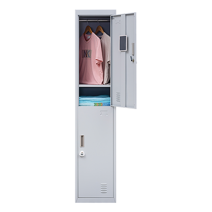 2-Door Vertical Locker for Office Gym Shed School Home Storage V63-832431