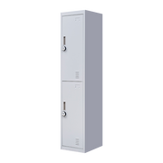 2-Door Vertical Locker for Office Gym Shed School Home Storage V63-832441
