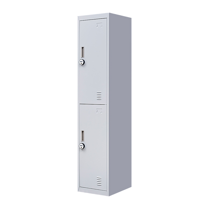 2-Door Vertical Locker for Office Gym Shed School Home Storage V63-832441
