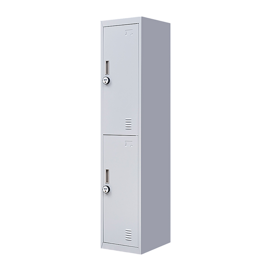 2-Door Vertical Locker for Office Gym Shed School Home Storage V63-832441