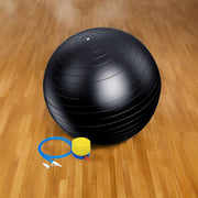 75cm Static Strength Exercise Stability Ball with Pump V63-833581