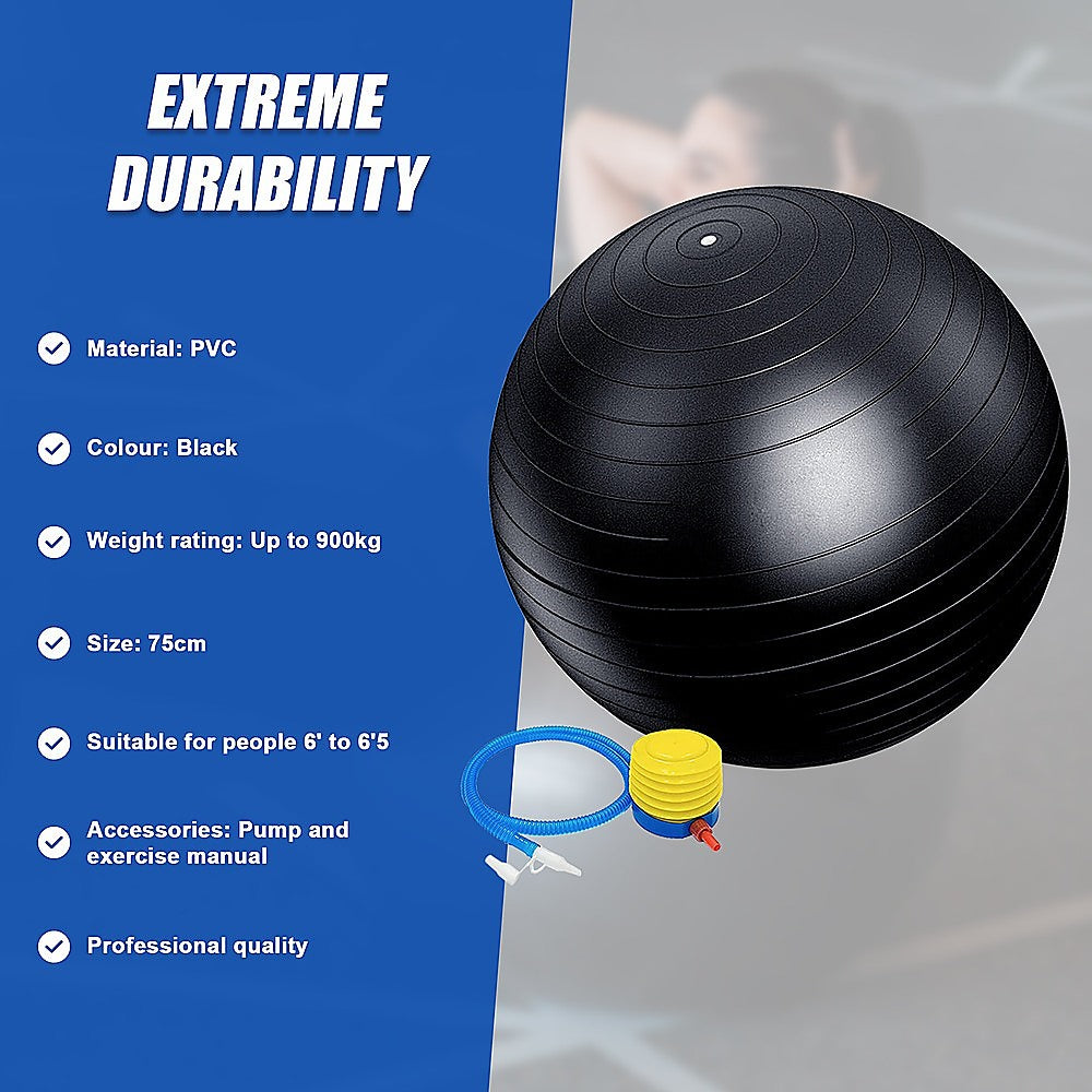 75cm Static Strength Exercise Stability Ball with Pump V63-833581