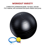 75cm Static Strength Exercise Stability Ball with Pump V63-833581