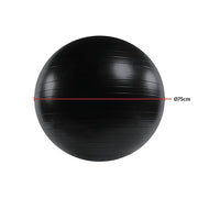 75cm Static Strength Exercise Stability Ball with Pump V63-833581