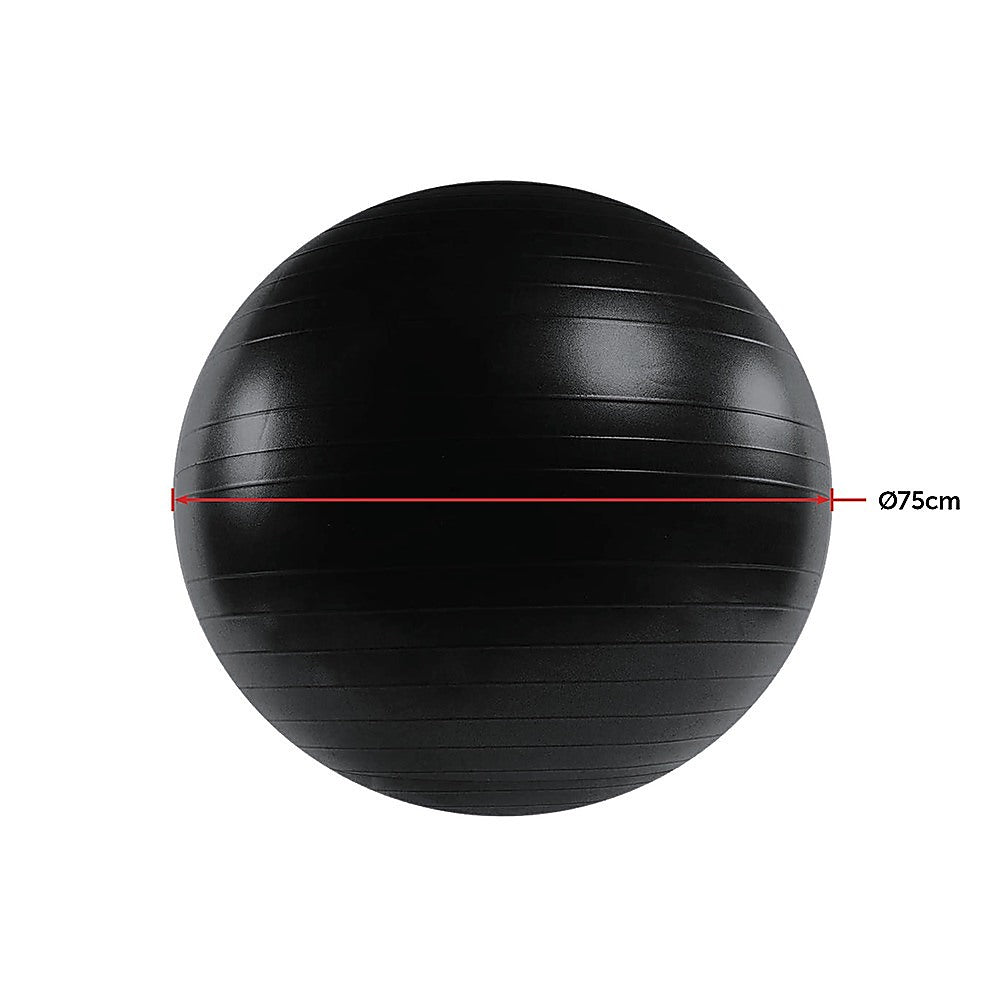 75cm Static Strength Exercise Stability Ball with Pump V63-833581