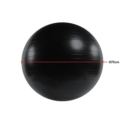 75cm Static Strength Exercise Stability Ball with Pump V63-833581