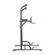 Power Tower Chin Up Bar Push Pull Up Knee Raise Weight Bench Gym Station