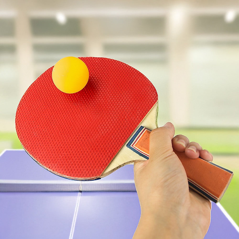 Table Tennis Game Indoor Portable Travel Ping Pong Ball Set Extendable V63-836201