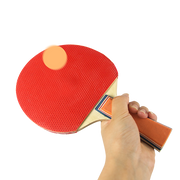 Table Tennis Game Indoor Portable Travel Ping Pong Ball Set Extendable V63-836201