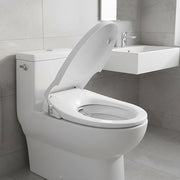 Non Electric Bidet Toilet Seat W/ Cover Bathroom Spray Water Wash V63-836441