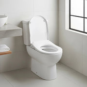 Non Electric Bidet Toilet Seat W/ Cover Bathroom Spray Water Wash V63-836451