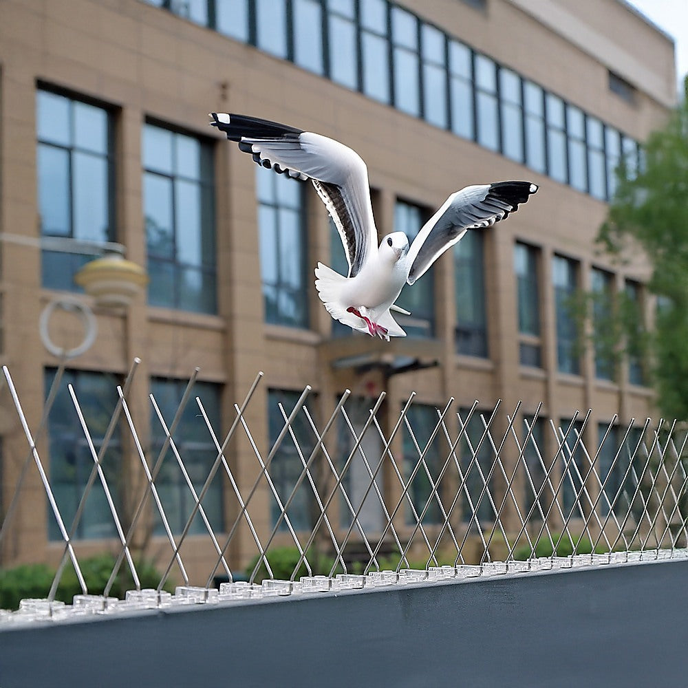 20x 50cm Bird Spike S304 wire Spikes Eaves Pigeon Gull Starling 10M V63-836641